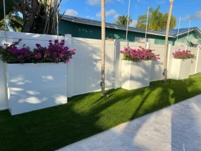 WhatsApp Image 2025-01-06 at 10.47.31